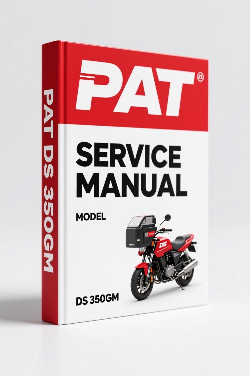 PAT DS 350GM RT875CC 2002 Service Manual – OEM LMI Diagnostics